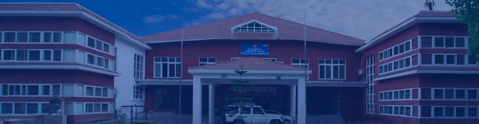 3433_WhatsApp Image 2023-04-24 at 12.23.25 PM.webp